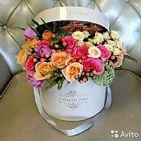 קופסה ססגונית קופסה ססגונית